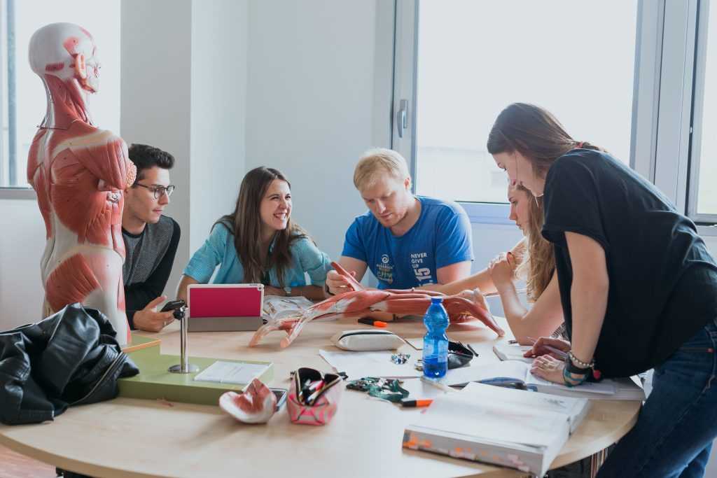 Humanitas University Students