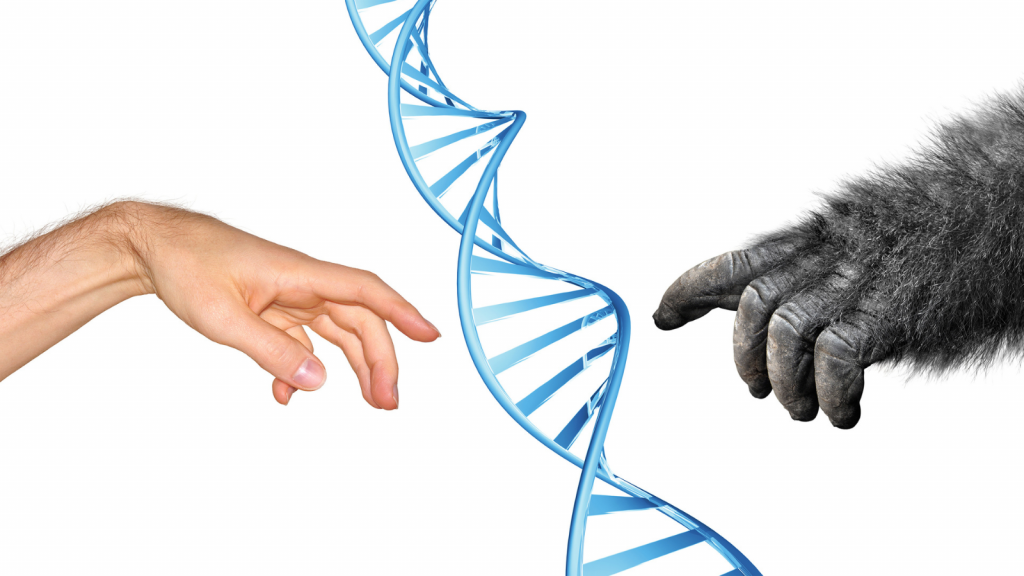 paleogenetics neanderthal