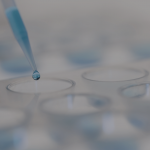 November 05 – DMEM Seminar: Shedding new light on G protein-coupled receptors: from membrane nanodomains to intracrine signalling with Davide Calebiro