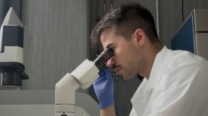 virgilio program antonio mannino