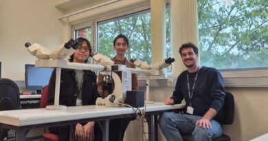 virgilio program mauro mannino