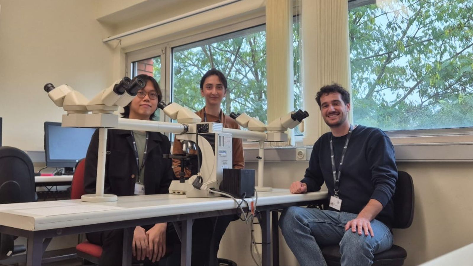 virgilio program mauro mannino