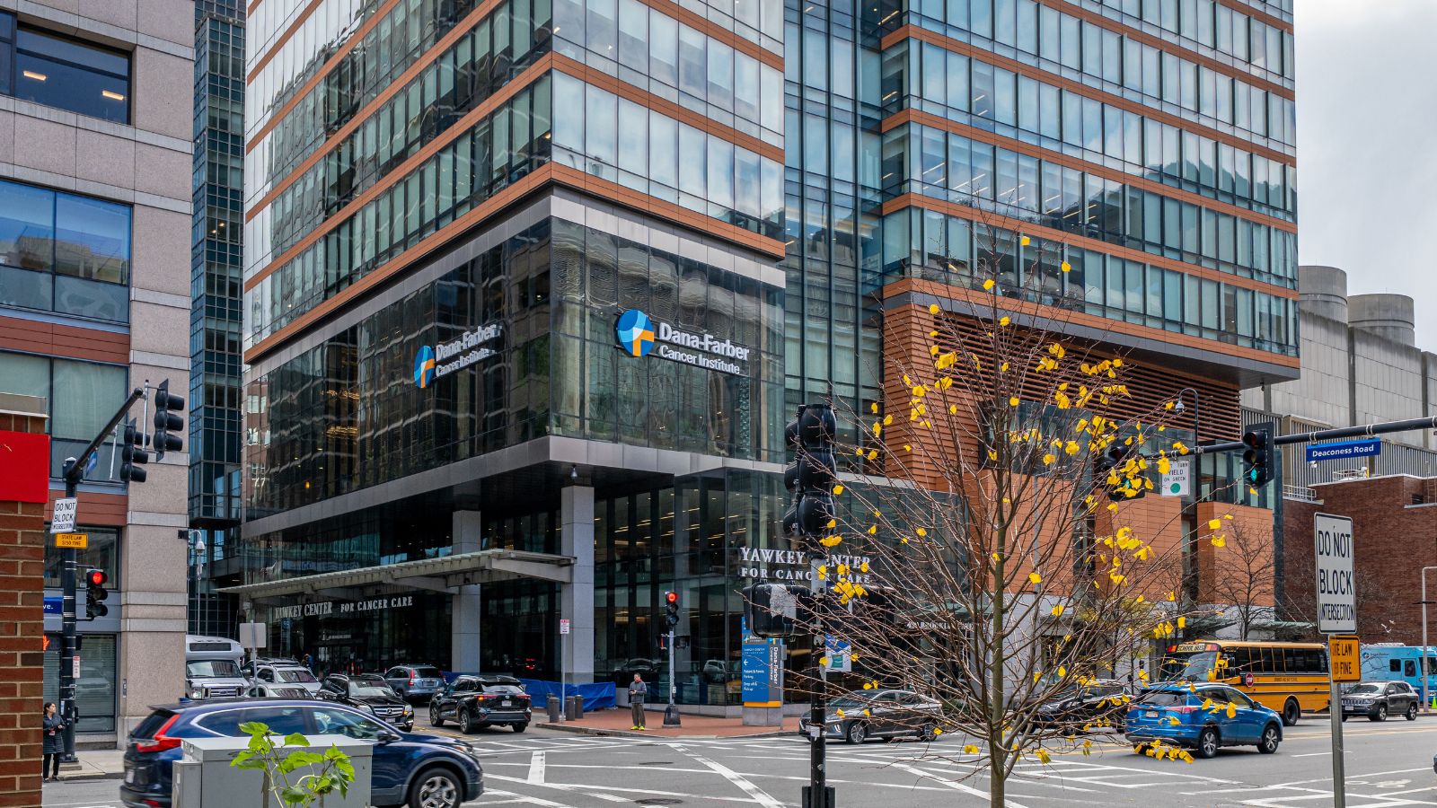 By ajay_suresh - Dana–Farber Cancer Institute, CC BY 4.0, httpscommons.wikimedia.orgwindex.phpcurid=179169471