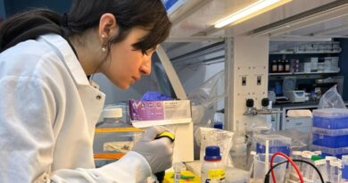 virgilio program Francesca Cuppini