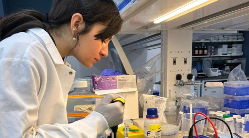 virgilio program Francesca Cuppini