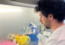My lab experience at Stroke & vascular dysfunction lab at Mario Negri Institute – Emilio Centurelli Centurelli