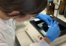 My lab experience at Traumatic Brain Injury and Neuroprotection Laboratory Mario Negri Institute – Sofia Carmelini My lab experience at Traumatic Brain Injury and Neuroprotection Laboratory Mario Negri Institute – Sofia Carmelini