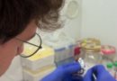 My lab experience at Experimental Neurology Unit, University of Milano-Bicocca – Alberto De Siena Alberto De Siena
